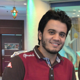 Amr Hafez