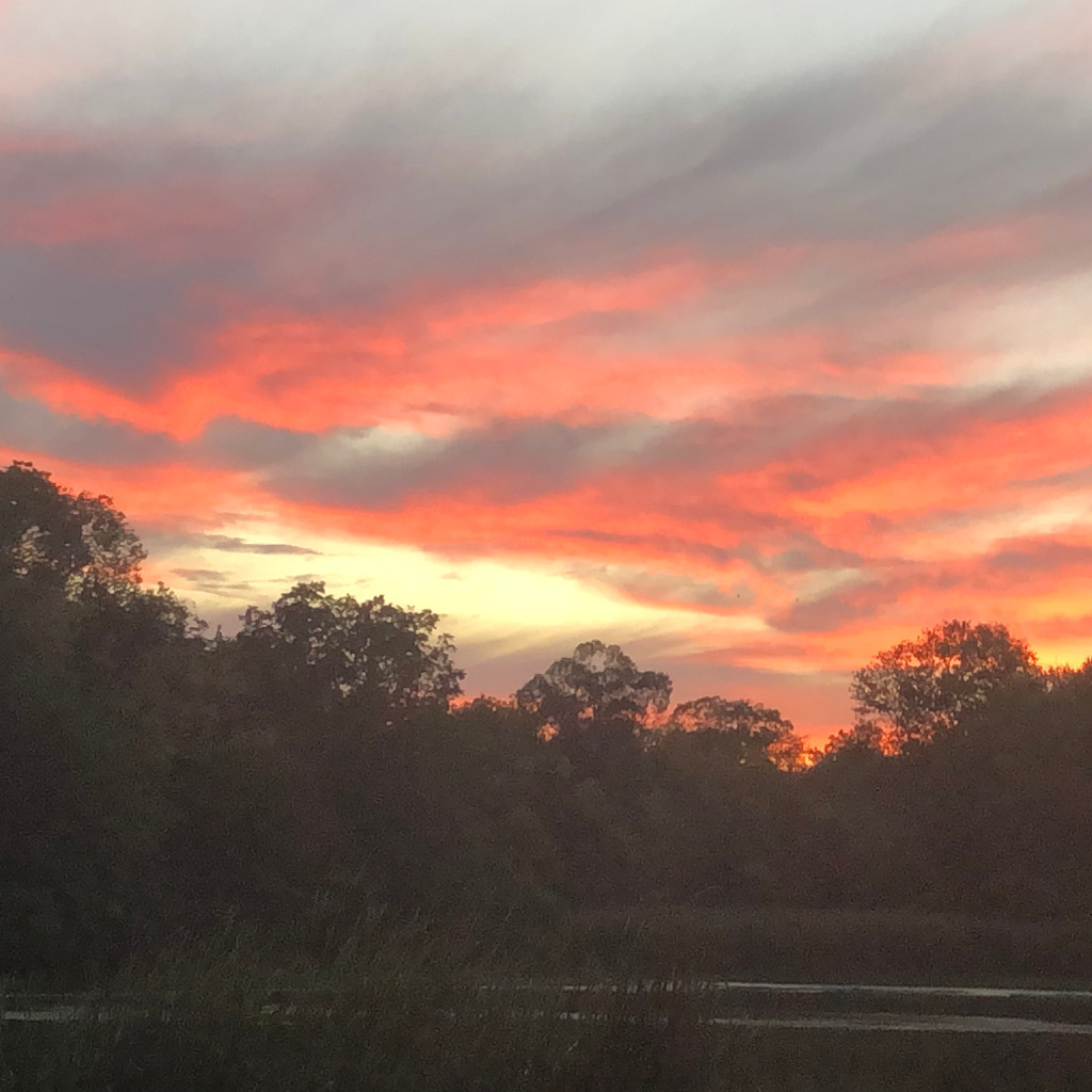 Renn Reed - > FilmMaker, Nature Photographer, Designer, Artist ...