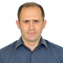 Miladin Veselinović's profile picture