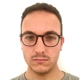 Cristian Robayna