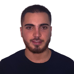 Aldo Bega