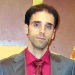 mehrzad amiri