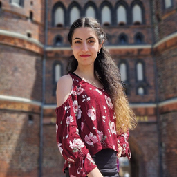 Ailin Rahimi