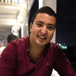 Ahmed Abdel Salam