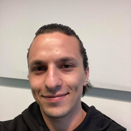 tarek trabelsi