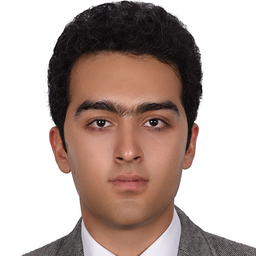 sina naderi