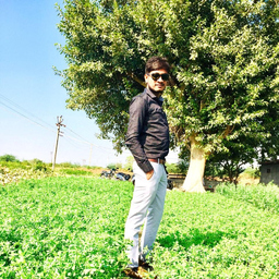 ramani Ajay