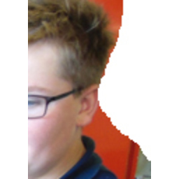 Nils Peters's profile picture