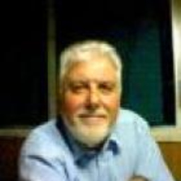 Leonardo Ricotti