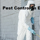 DSA Pest Control Edmonton