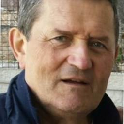 Dipl.-Ing. Milutin K. Zizic