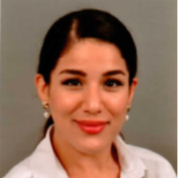 Anis Roozbahani