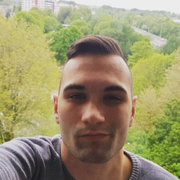 Stoyko Stoev