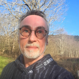 Ralf Sauter