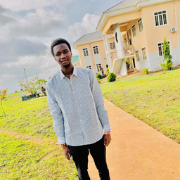 Emmanuel Chinedu