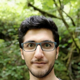 Mehran Mirshekaran