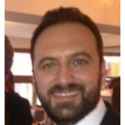Dipl.-Ing. Serdar Gelberi