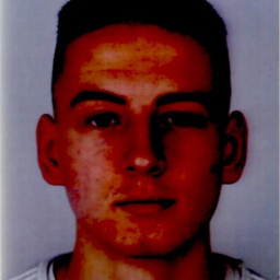 Denis Sobanski