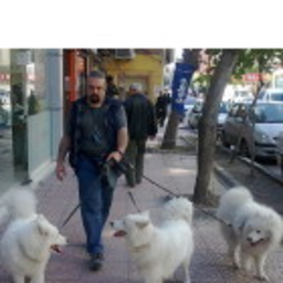 Ahmet Meriç Kavalakoğlu