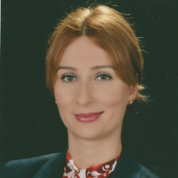 Defne Budak Elci