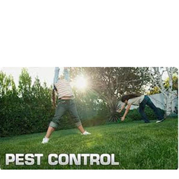 Termite Control