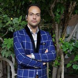 Seyed Mobin Avazolhayat