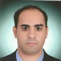 Prof. EMAD ALI SHEHATA ALI MOSA