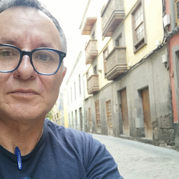 Prof. Domingo Naranjo