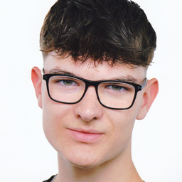 Paul Hartmann