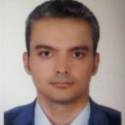 Amin Amereh