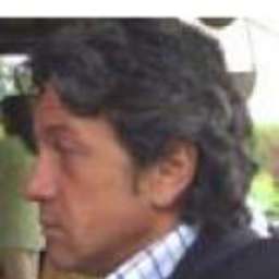 fulvio mariani