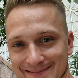 Sebastian Herzog's profile picture