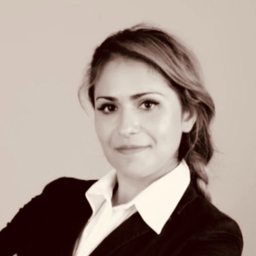 Ing. Ahsen Karakoyun