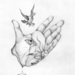 Marco Antonio nicolas Leon's profile picture