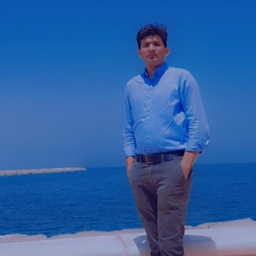 Ing. Muhammad Umar Shahid