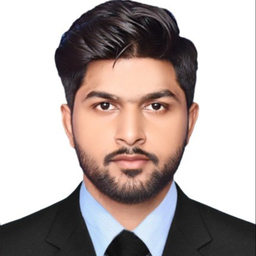 Ameer Hamza