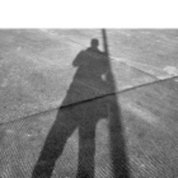 Jan Dirk Snel's profile picture