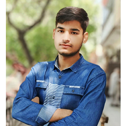 Hussnain Ali
