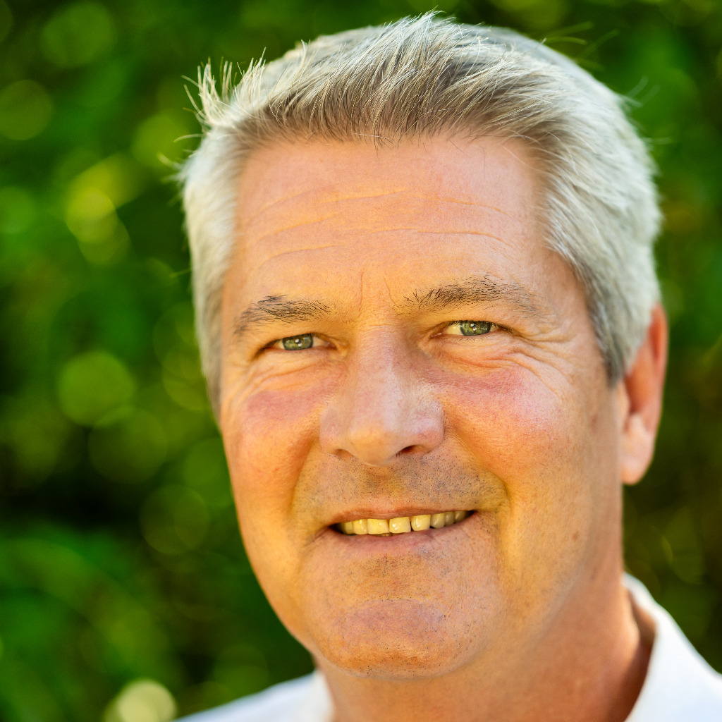 Michael Sand Senior IT Consultant BMW Group (i.A. Greenlight