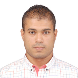 mohamed mansy