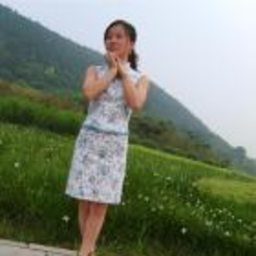 红琴 石