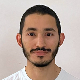 Fares Abassi