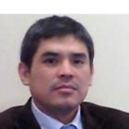 Alí Revilla Medina's profile picture