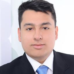 Anas Malik