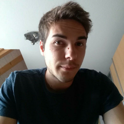 Sascha Wende