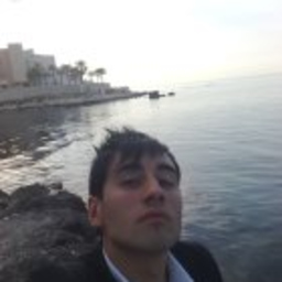 Marco Scaringella