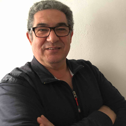 Carlos Guerreiro