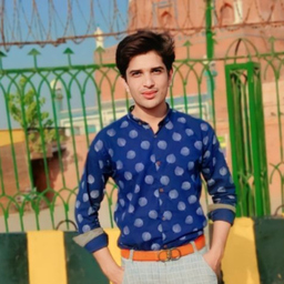 Muhammad Zohaib Raza