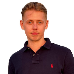 Finn Mertins