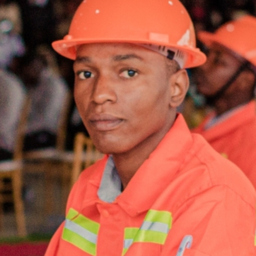 Dique Manuel